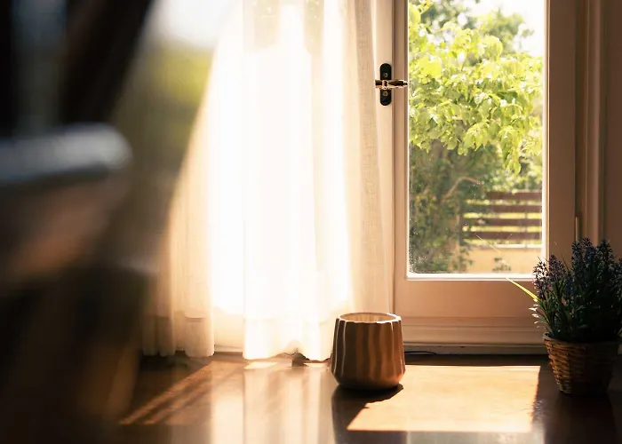 Diana * 阿查拉维